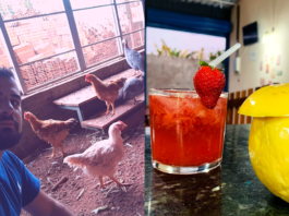 Morador de Barra Bonita transforma galinheiro em bar rural e vira atração na cidade