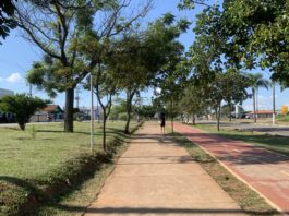 Xô preguiça: 3 lugares incríveis para você caminhar em Boituva