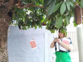 Com uma árvore de livros, sem pretensão, a ourinhense conquistou uma cadeira na Academia Brasileira de Letras