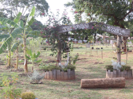 Projeto Cemeia promove educação ambiental por meio da agricultura em Bauru