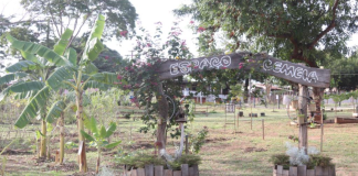 Projeto Cemeia promove educação ambiental por meio da agricultura em Bauru