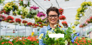 3 floriculturas para você presentear alguem especial em Lençóis Paulista