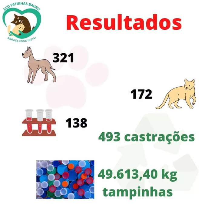 Com quase 50 toneladas de tampinhas arrecadadas, Projeto Ecopatinhas ajuda centenas de cães e gatos em Bauru