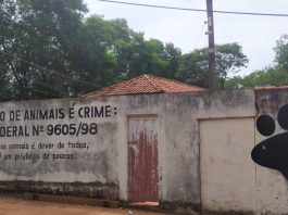 Amor e proteção são prioridades para associação de animais de Penápolis