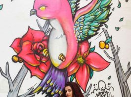 Artista barrabonitense chama atenção por seus desenhos cheios de personalidade