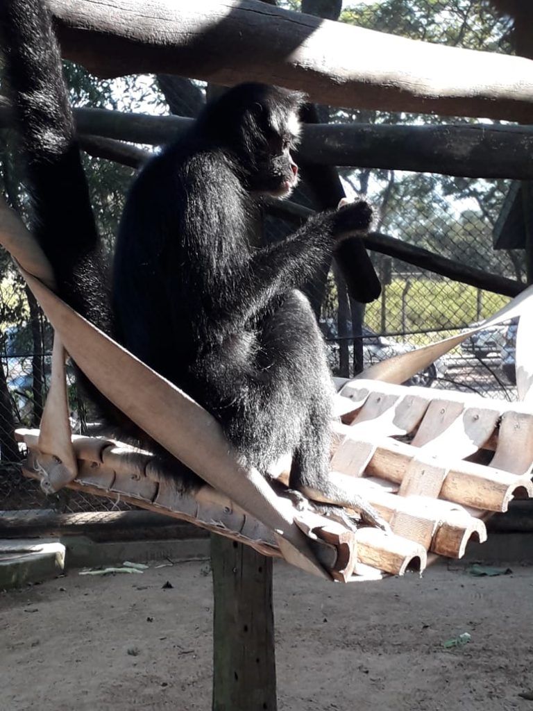 Zoo Bauru instala equipamentos para proteger animais do frio