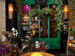 9 floriculturas em Aracaju