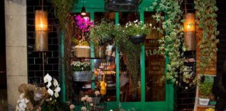9 floriculturas em Aracaju