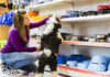5 melhores pet shops de Aracaju