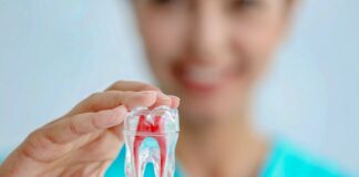 Endodontia em Avaré – Encontre as Melhores Opções na Solutudo
