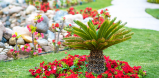 Jardins que Contam Histórias: Os Mestres do Paisagismo em São Paulo
