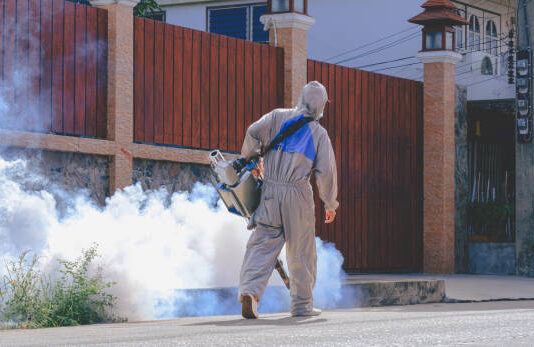 Controle de Mosquito Aedes aegypti em Cabreúva – Encontre Empresas Locais