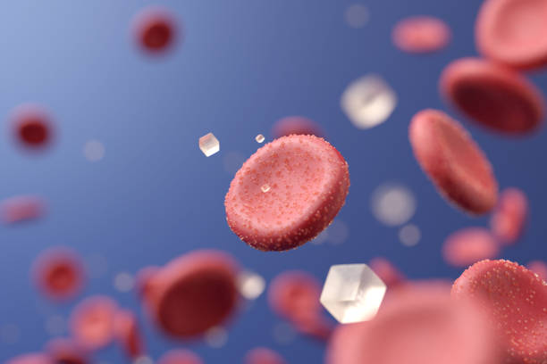 Exames de Sangue em Pardinho – Encontre Tudo em um Só Lugar