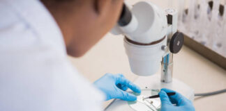 Exame Parasitológico em Santarém – Encontre com Facilidade
