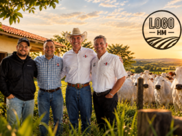 Logo H.M: trajetória no campo que virou negócio